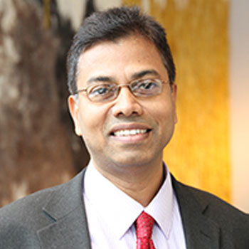 Professor Sushanta Mallick